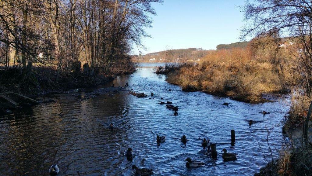 Ferienwohnung Am Sorpesee Allendorf  Luaran gambar