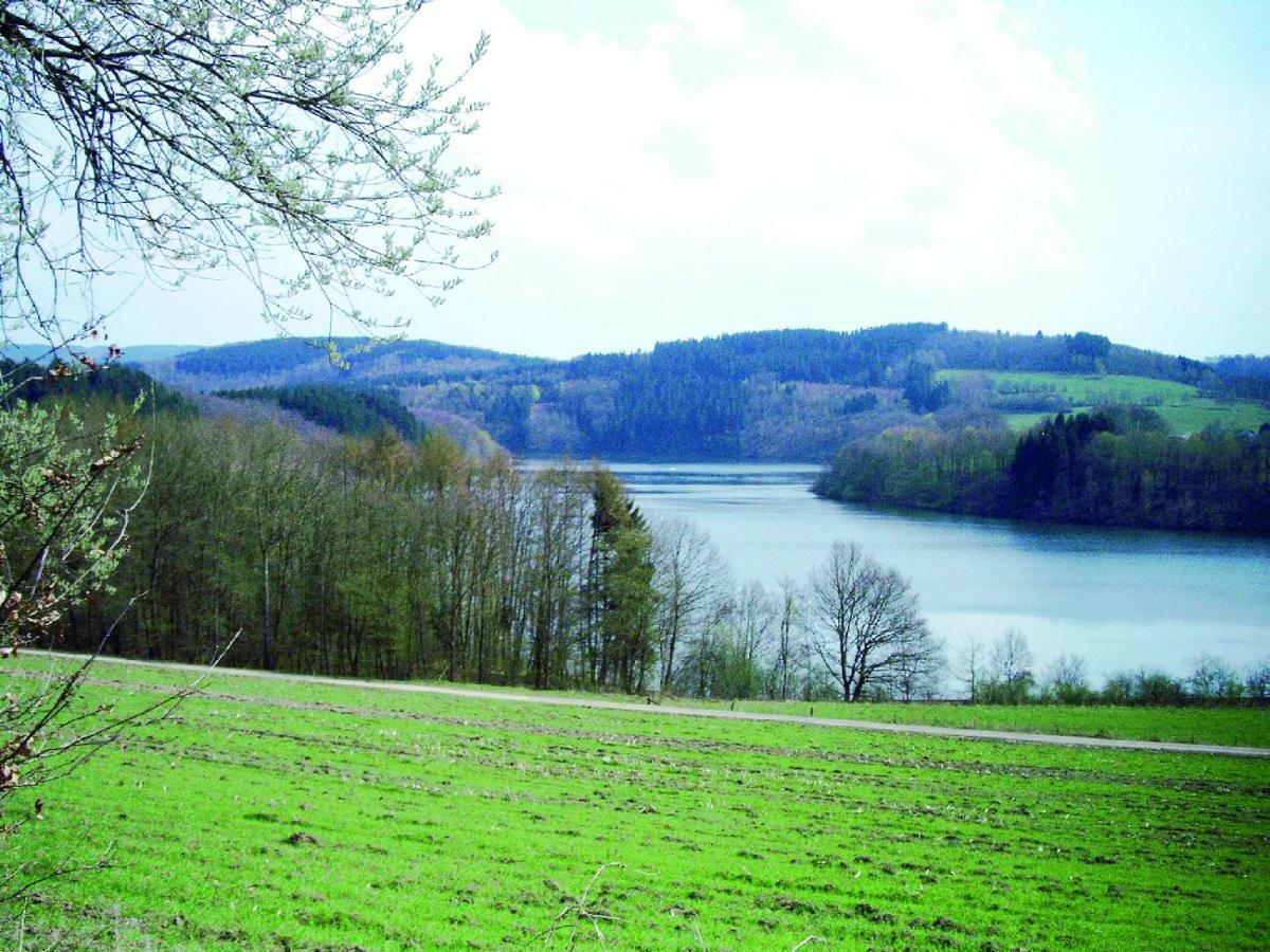 Ferienwohnung Am Sorpesee Allendorf  Luaran gambar