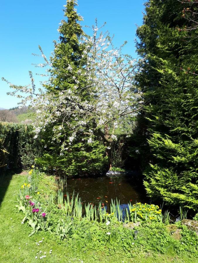 Ferienwohnung Am Sorpesee Allendorf  Luaran gambar